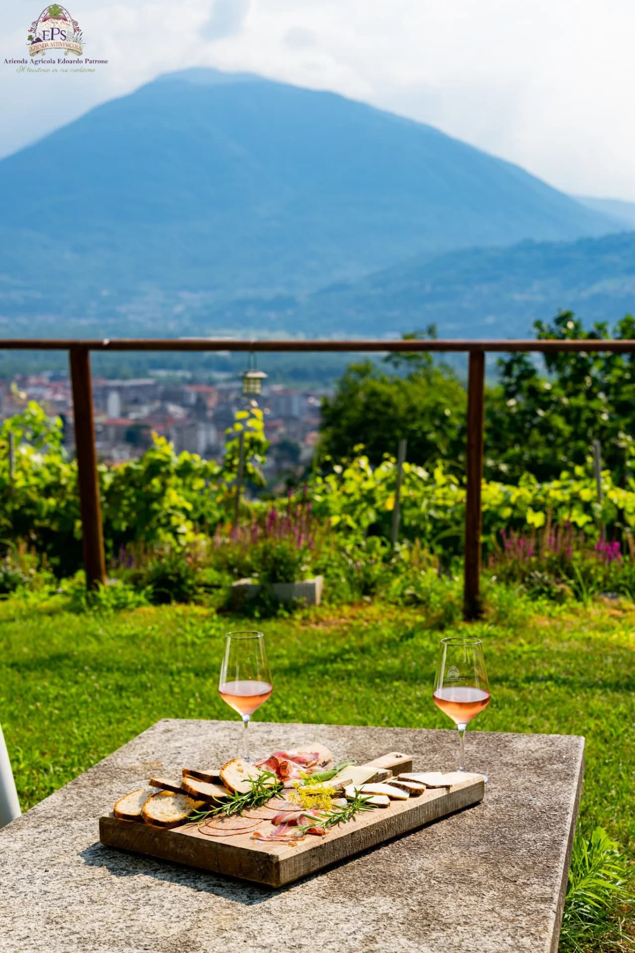 Degustazione Vino - 3 calici